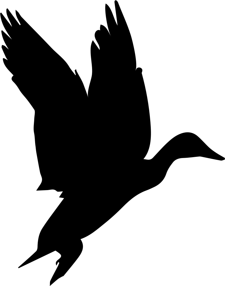 Silhouetted Flying Black Bird PNG Image