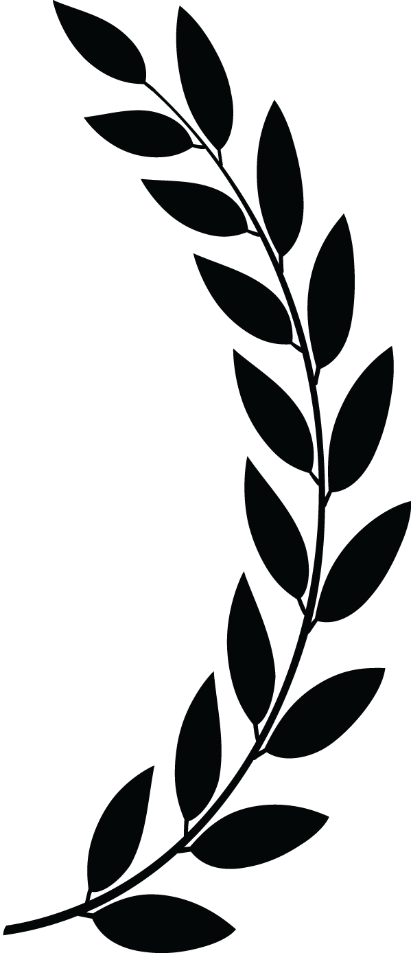 Silhouetted Leafy Branch PNG Image