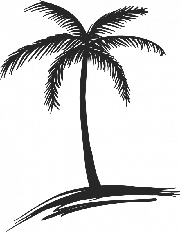 Silhouetted Palm Tree PNG Image