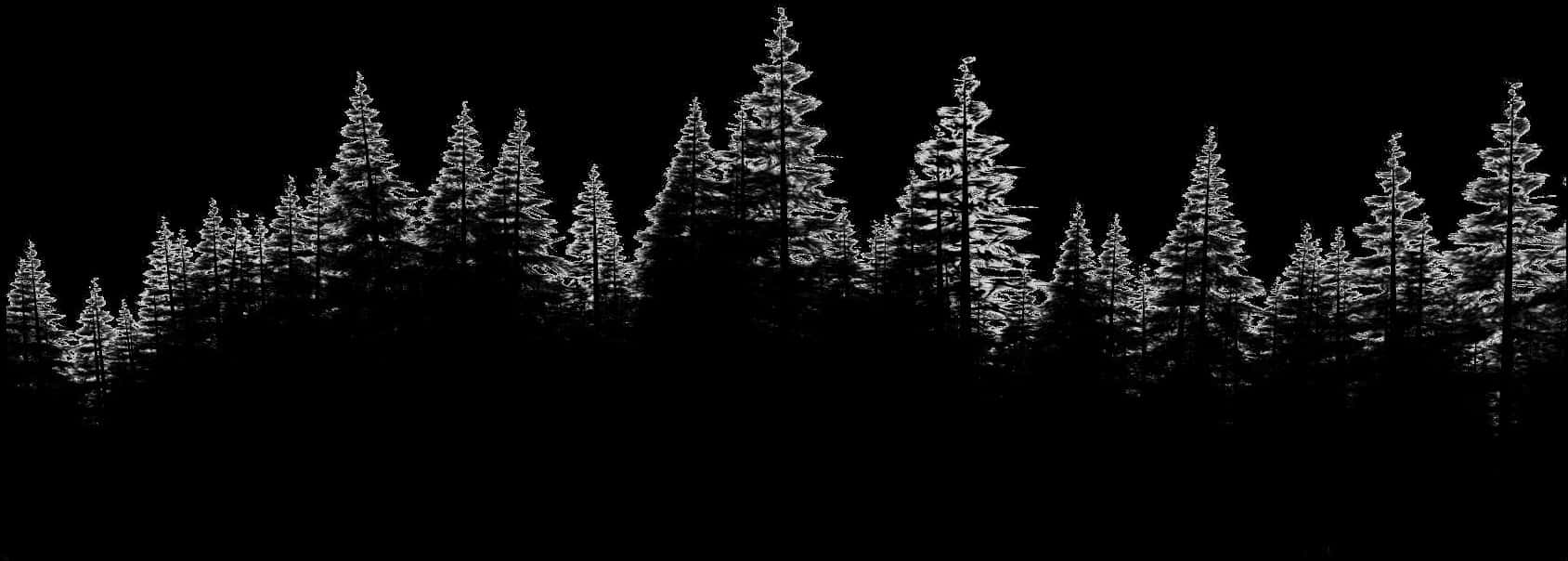 Silhouetted Pine Forest Night Sky PNG Image