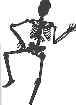 Silhouetted Skeleton Pose PNG Image