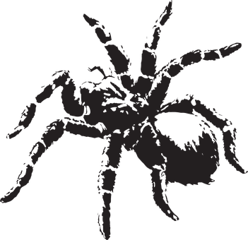 Silhouetted Spider Graphic PNG Image