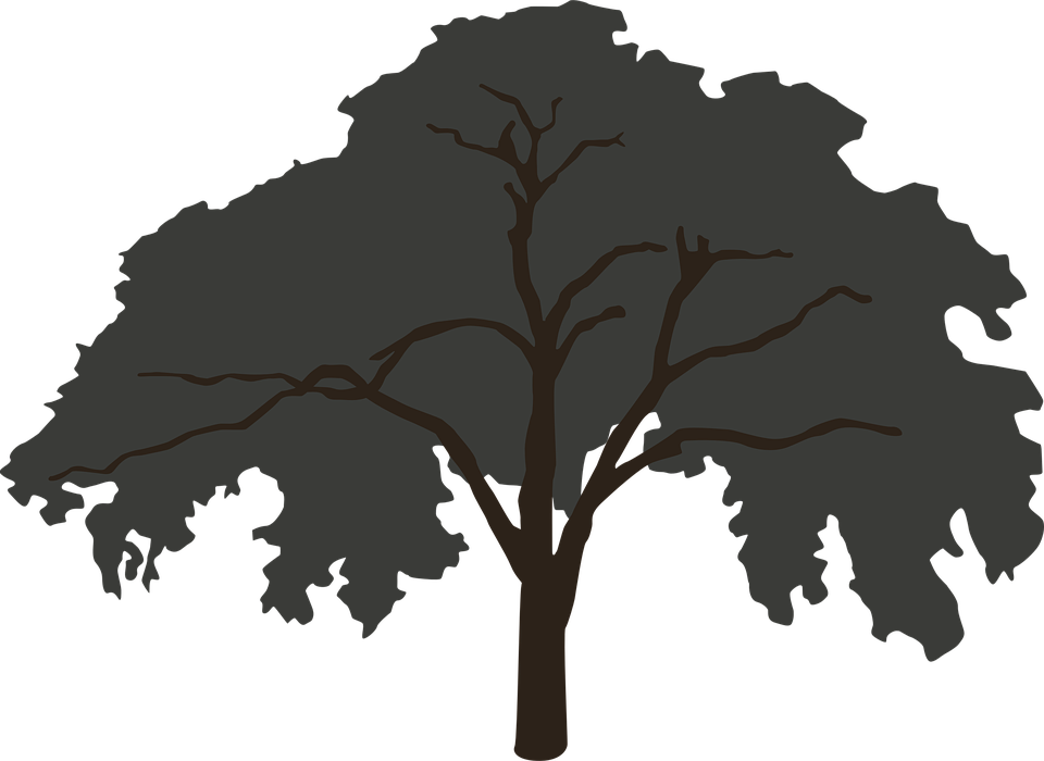 Silhouetted Tree Graphic PNG Image