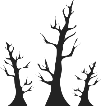 Silhouetted Trees Against Dark Background PNG Image