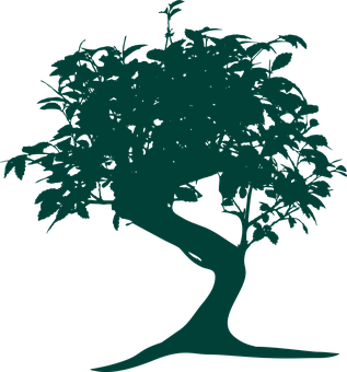 Silhouetteof Bonsai Tree PNG Image