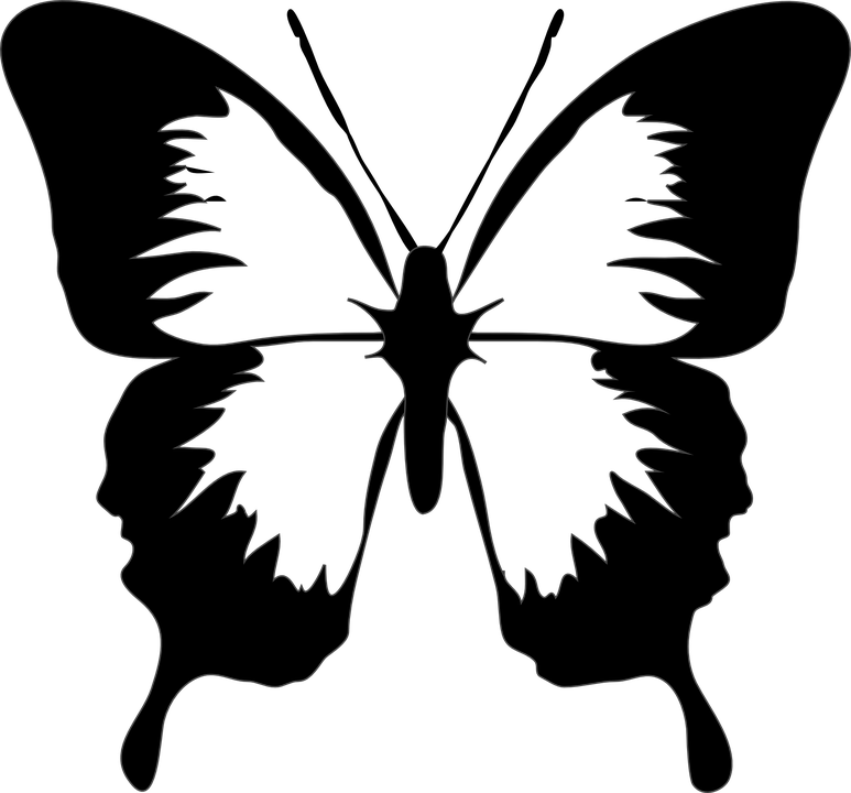 Silhouetteof Butterfly PNG Image