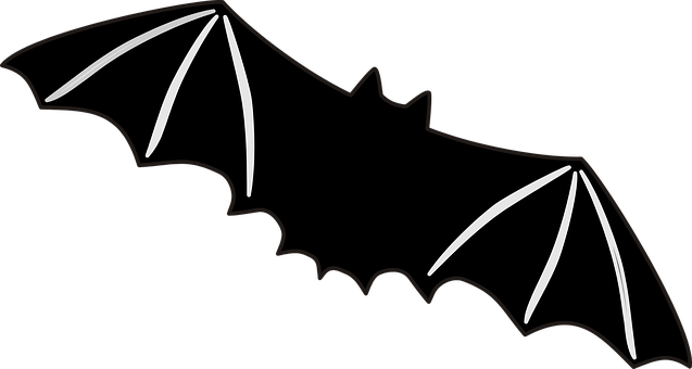 Silhouetteof Flying Bat PNG Image