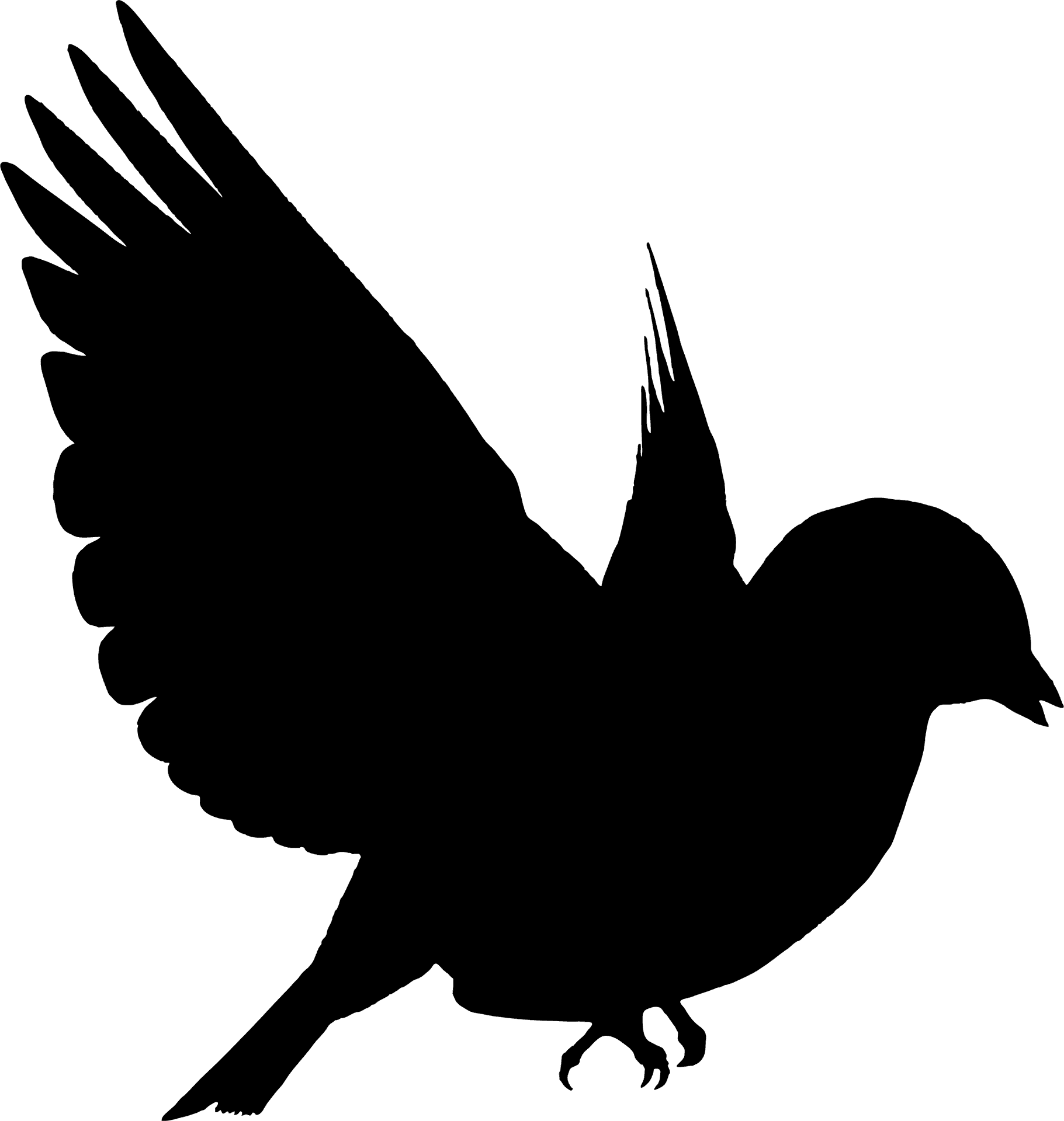 Silhouetteof Flying Black Bird PNG Image