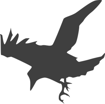 Silhouetteof Flying Crow PNG Image