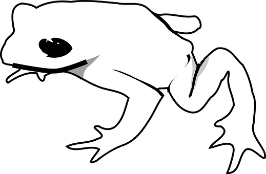 Silhouetteof Frogon White Background.jpg PNG Image