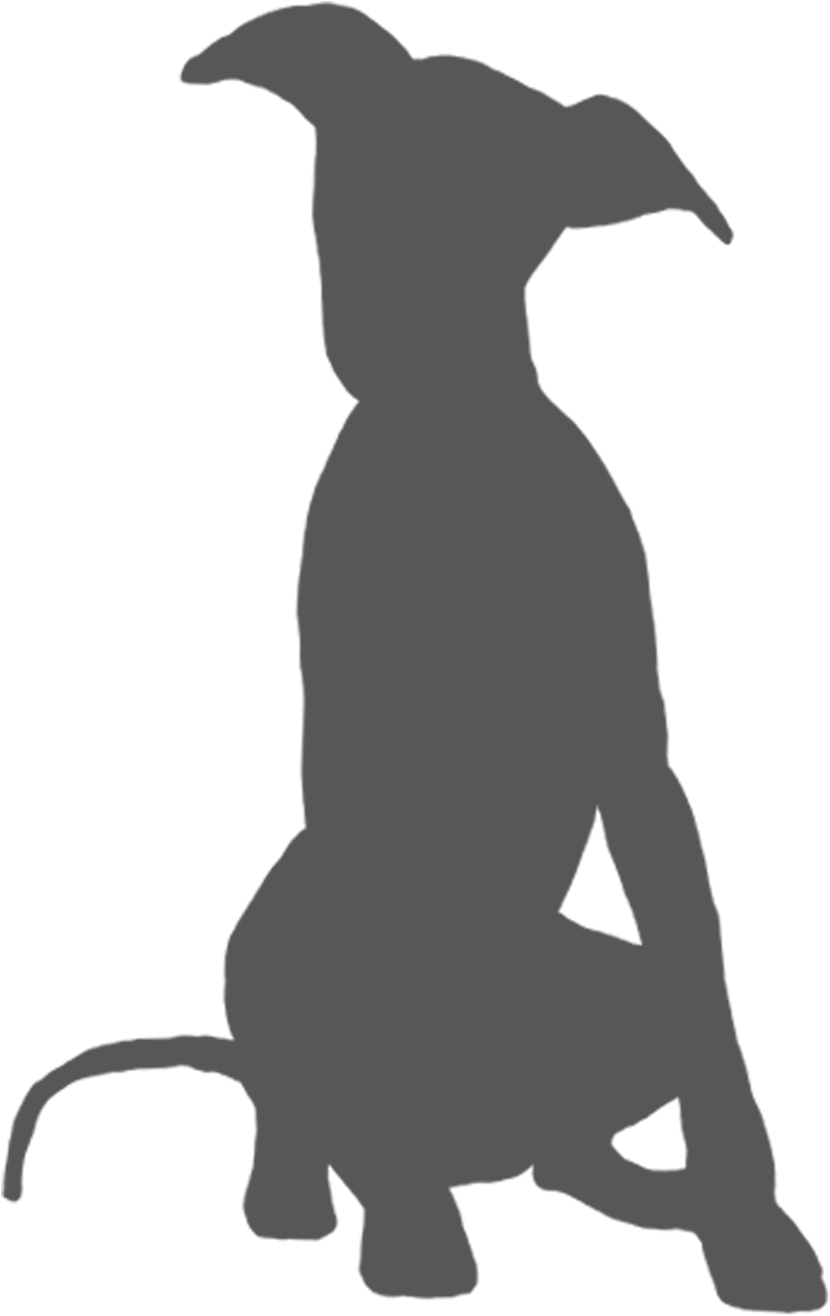 Silhouetteof Greyhound Dog PNG Image