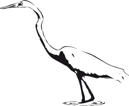 Silhouetteof Heron Standing PNG Image