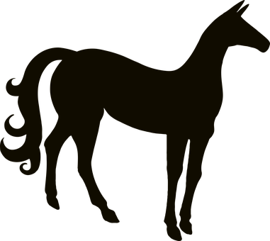 Silhouetteof Horseon Dark Background PNG Image