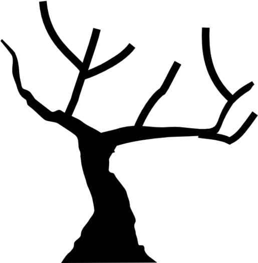 Silhouetteof Leafless Tree PNG Image