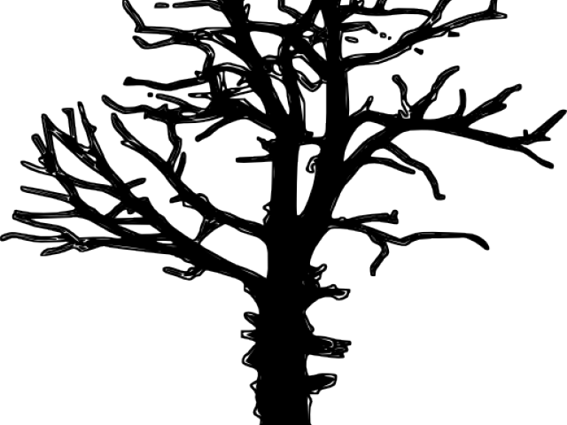 Silhouetteof Leafless Tree PNG Image