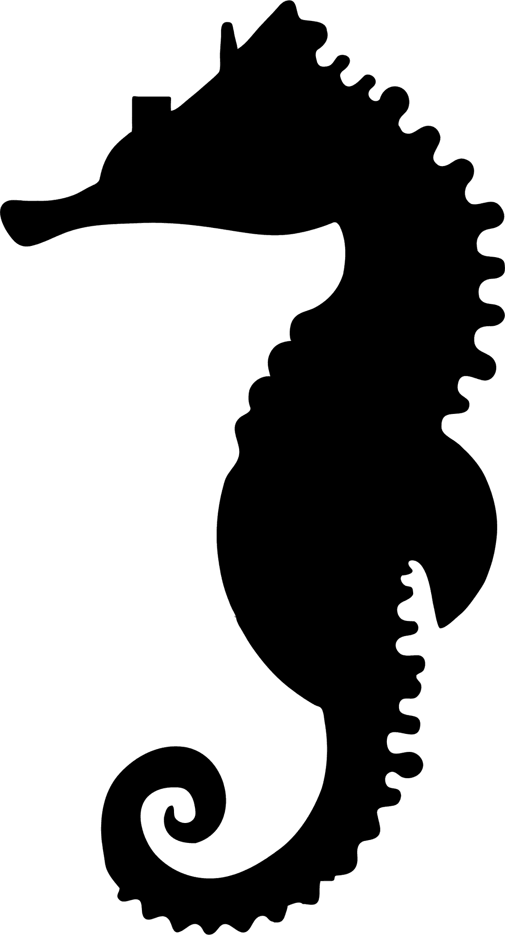 Silhouetteof Seahorse PNG Image