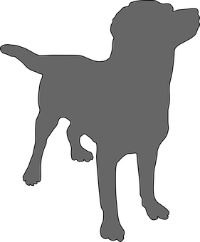 Silhouetteof Standing Dog PNG Image