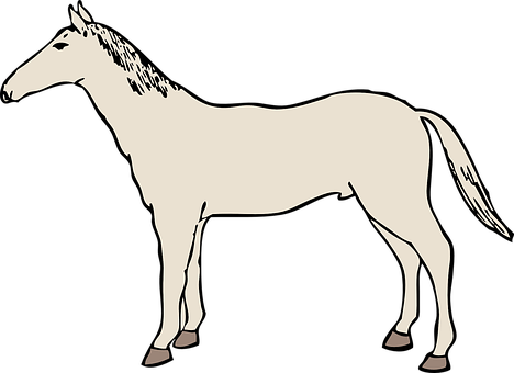 Silhouetteof Standing Horse PNG Image