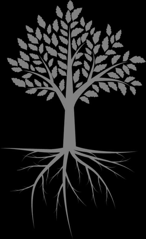 Silhouetteof Treewith Roots PNG Image