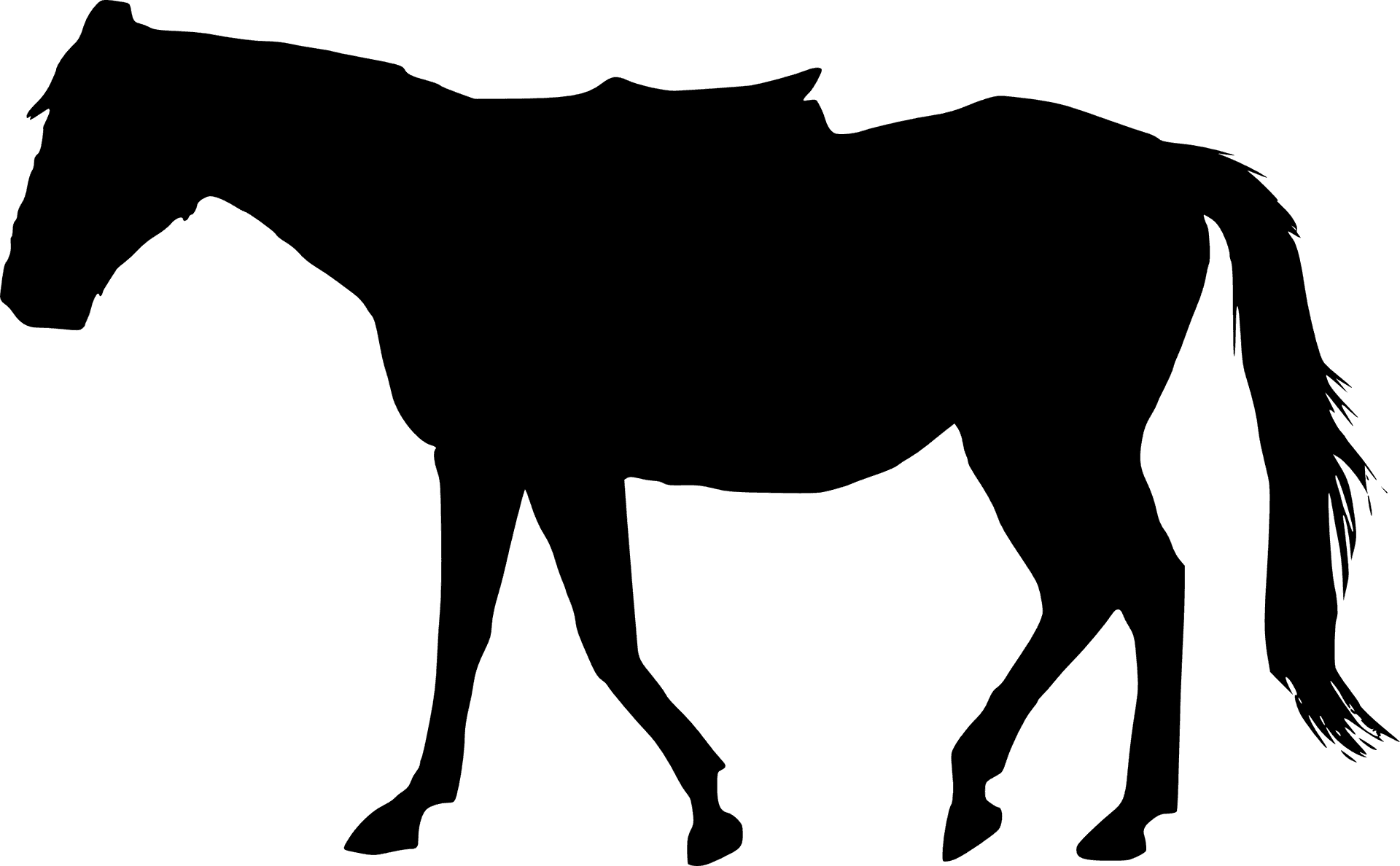 Silhouetteof Walking Horse PNG Image