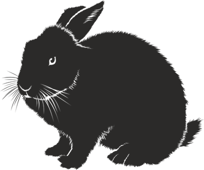 Silhouetteofa Rabbit PNG Image