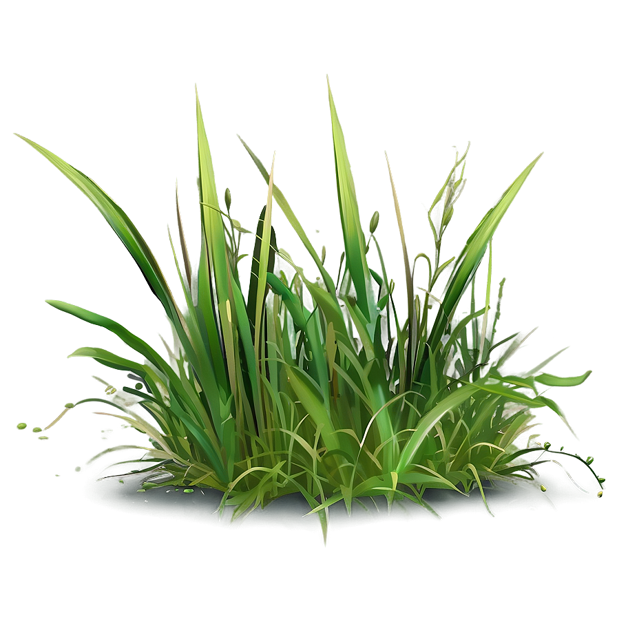 Silly Cartoon Grass Png Nhh57 PNG Image