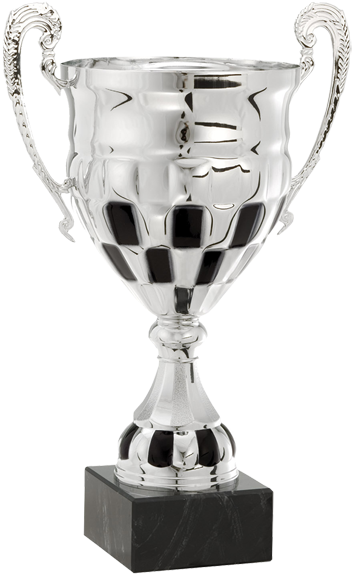 Silver Cricket Trophy PNG Image