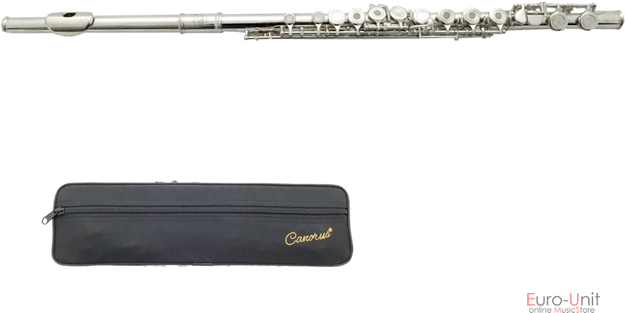 Silver_ Flute_with_ Case PNG Image