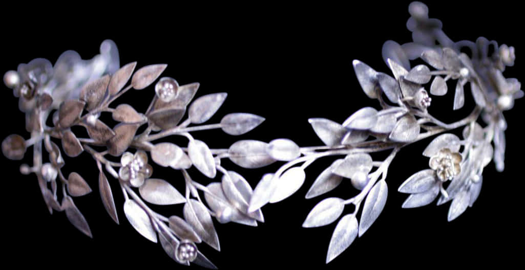 Silver Leaf Tiara Accessory PNG Image