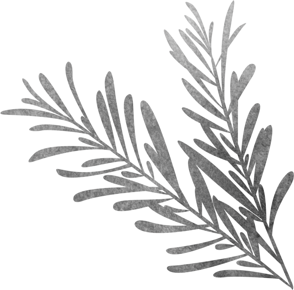 Silver Rosemary Sketch Artwork PNG Image