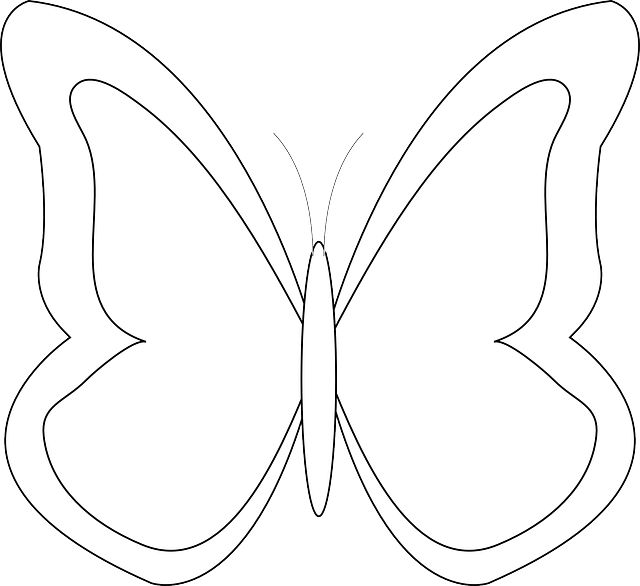 Simple Butterfly Outline Graphic PNG Image