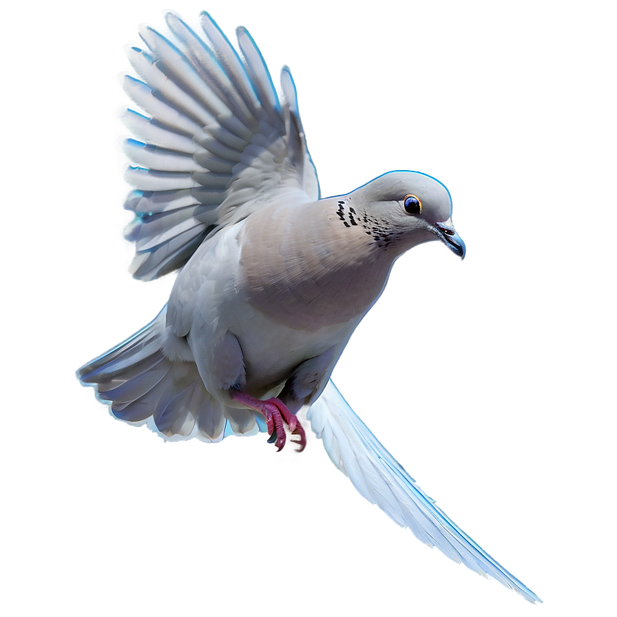 Simple Dove Png 20 PNG Image