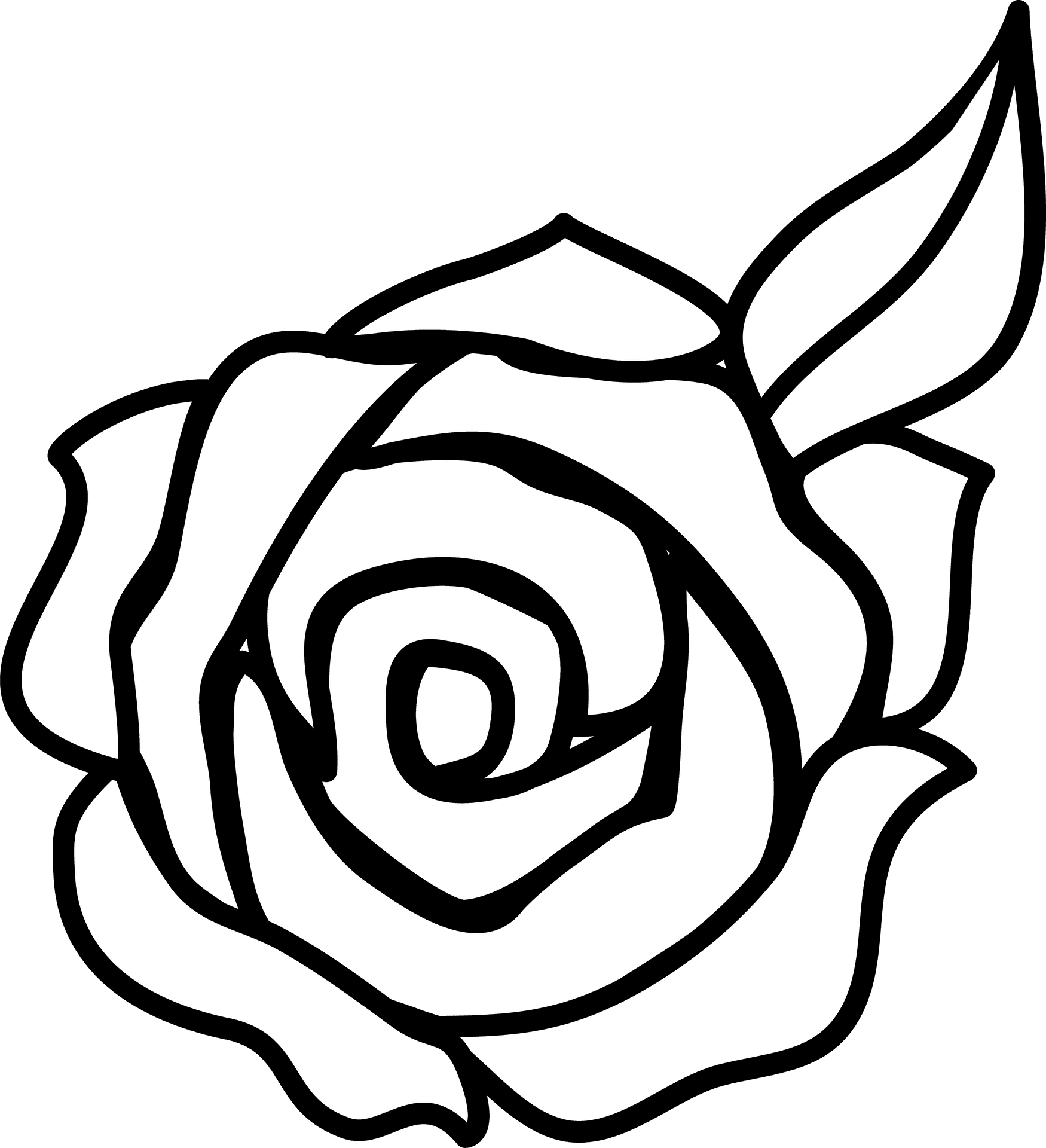 Simple Line Art Rose Drawing PNG Image