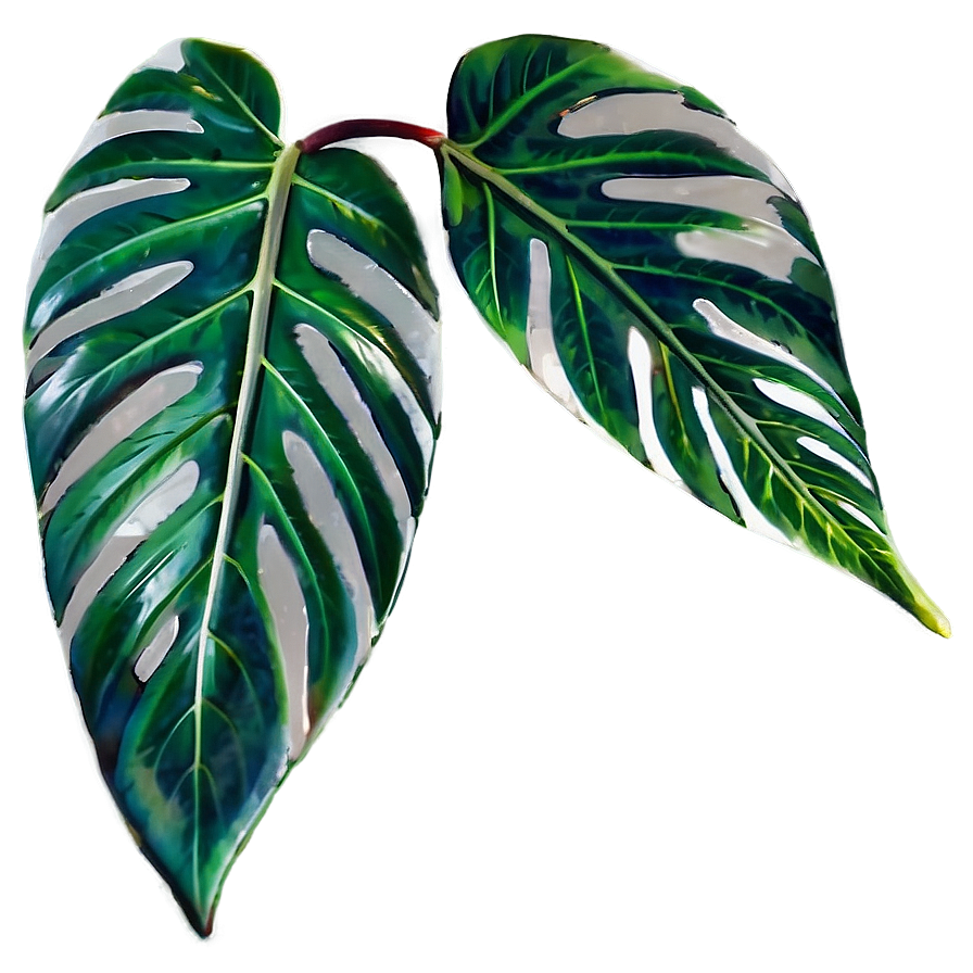 Simple Plant Leaves Png 06232024 PNG Image