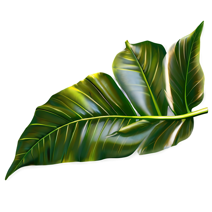 Simple Plant Leaves Png 06232024 PNG Image