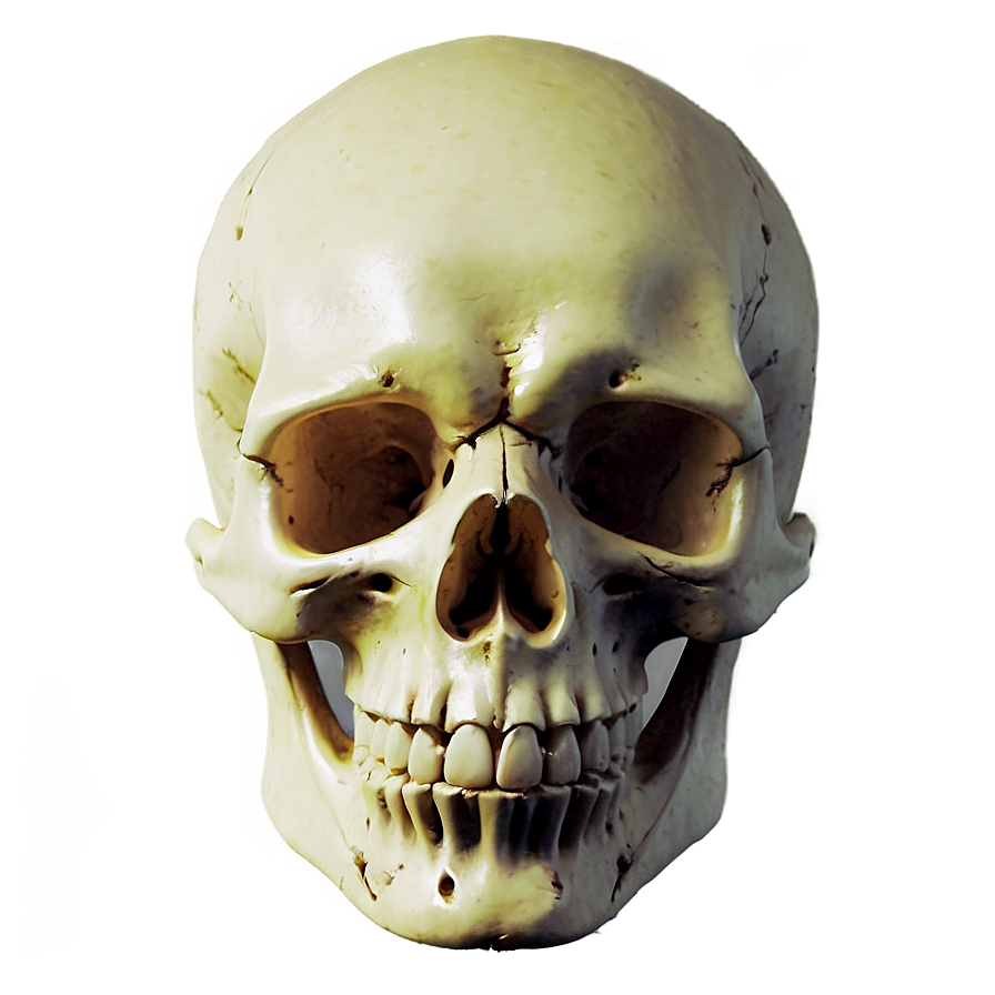 Simple Skull Artwork Png Fnc PNG Image