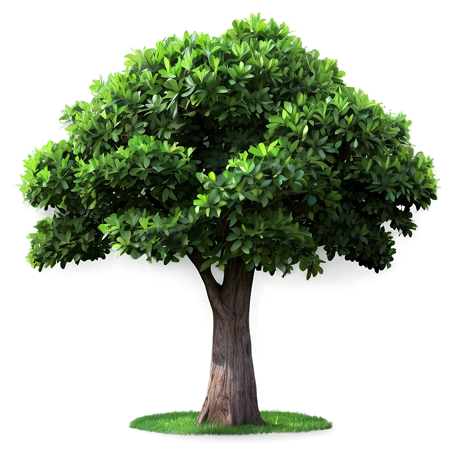 Simple Small Tree Png Cvg19 PNG Image