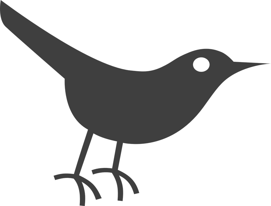 Simplified Black Bird Silhouette PNG Image