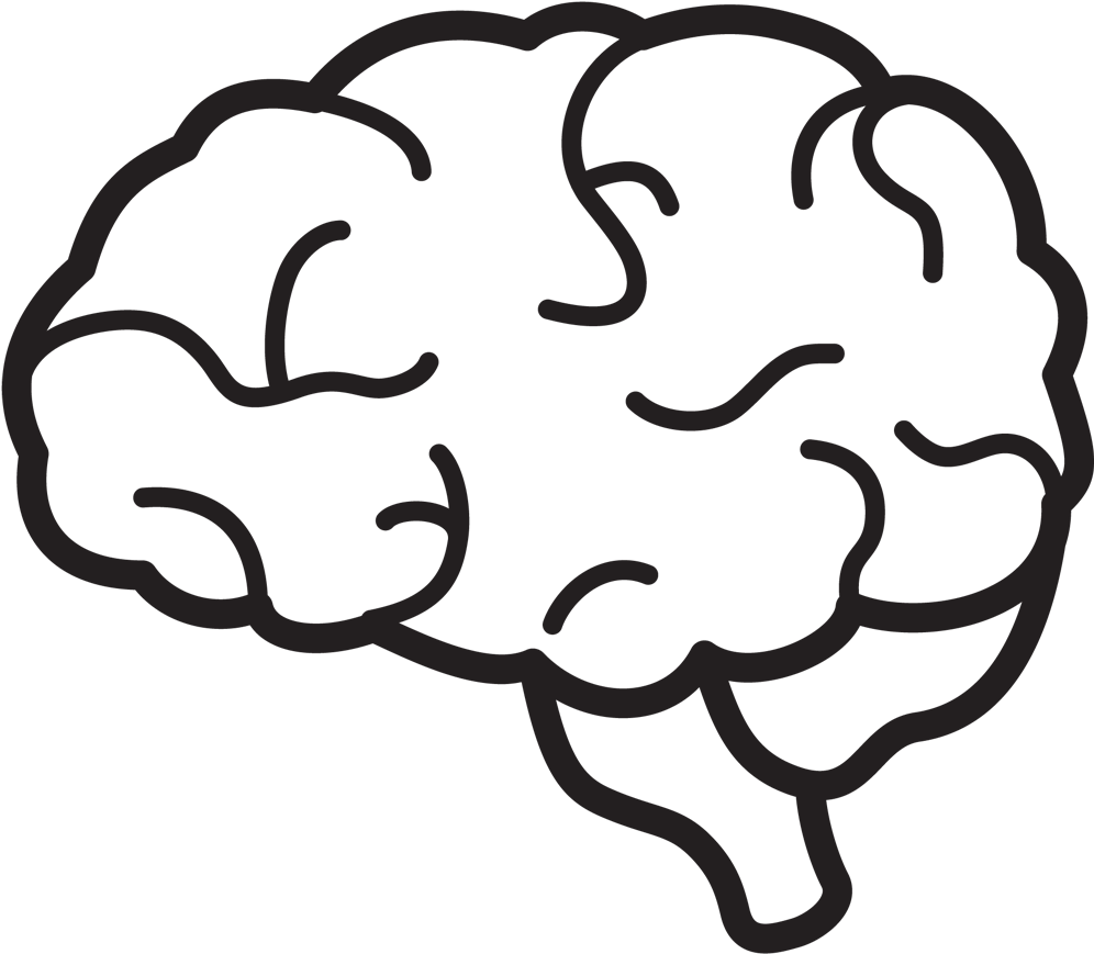 Simplified Brain Illustration PNG Image