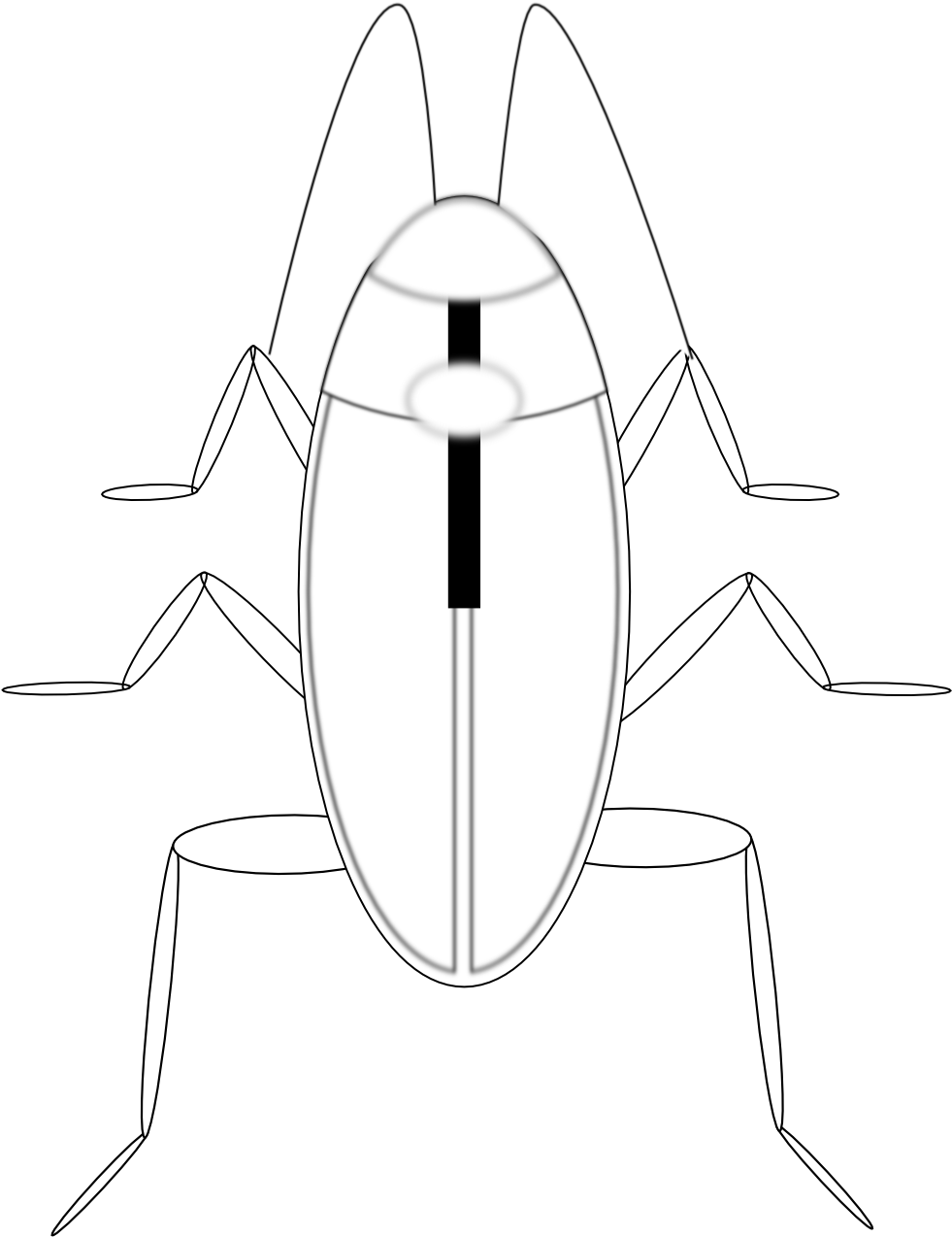 Simplified Cockroach Illustration PNG Image