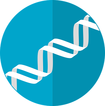 Simplified D N A Structure Graphic PNG Image