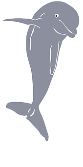 Simplified Dolphin Illustration PNG Image