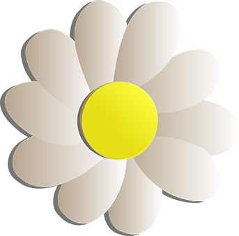 Simplified Graphic Daisy Flower PNG Image