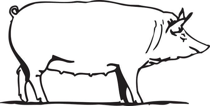 Simplified Pig Silhouette PNG Image