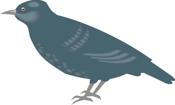 Simplified Pigeon Illustration PNG Image