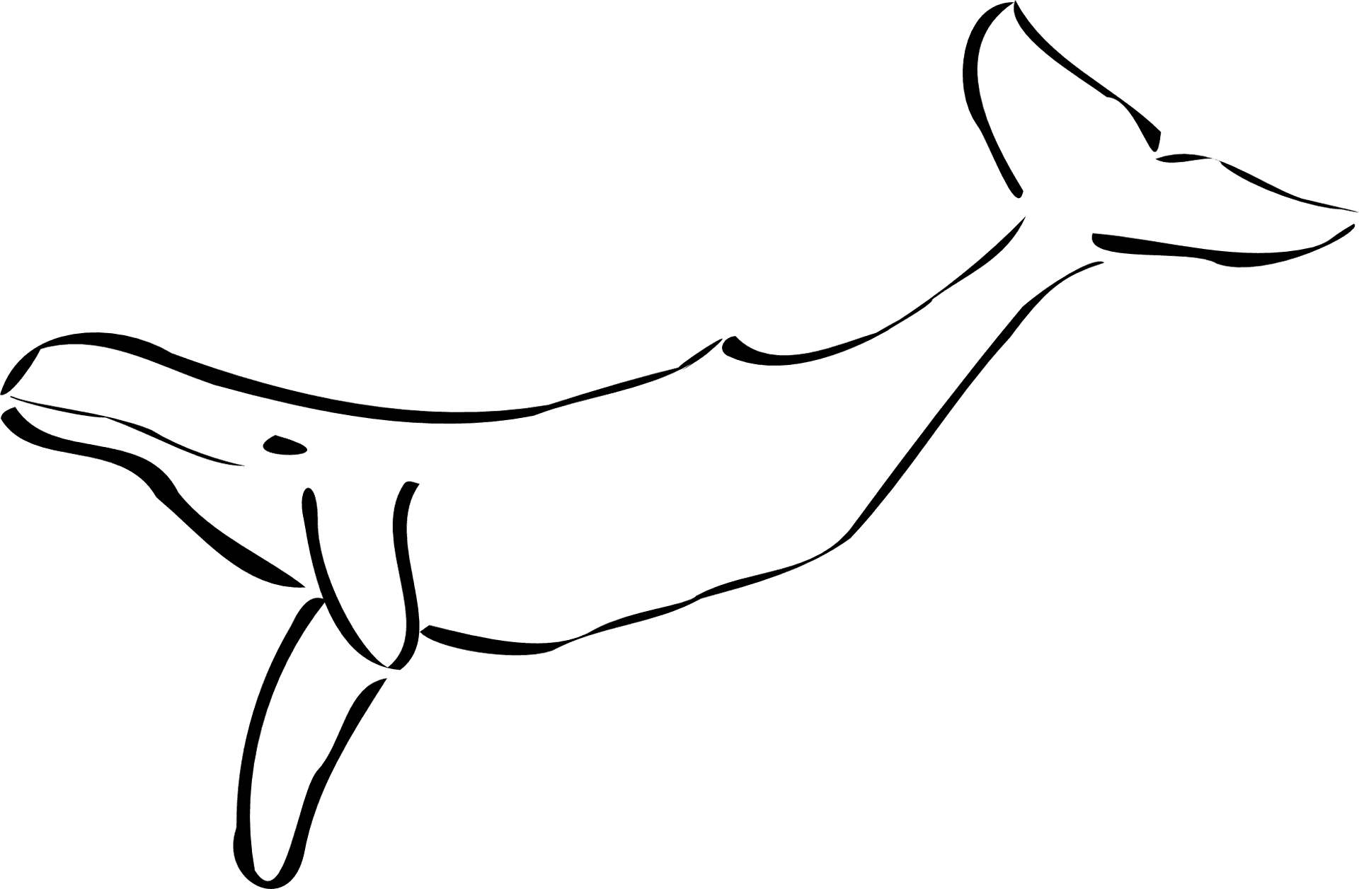 Simplified Whale Line Art PNG Image