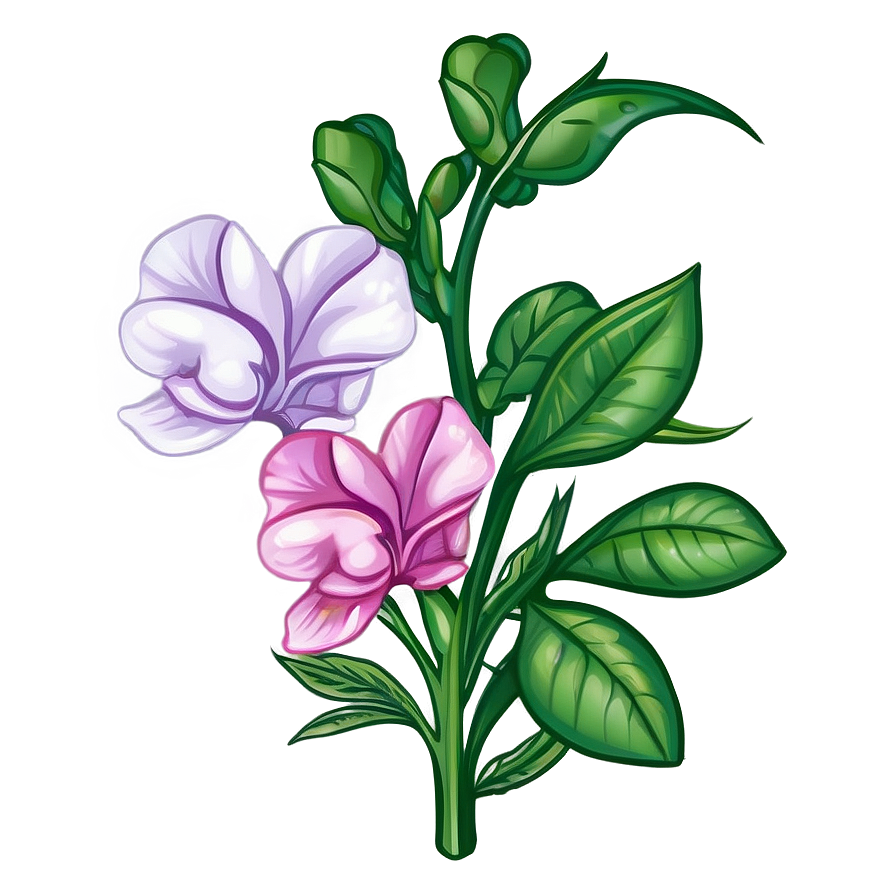 Sincere Sweet Pea Png 06202024 PNG Image