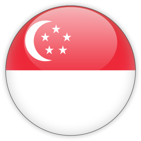 Singapore Flag Button PNG Image