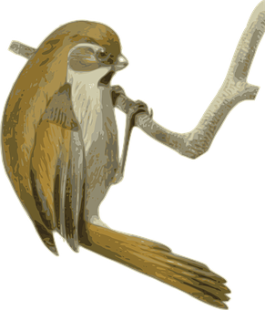 Singing Bird Illustration PNG Image