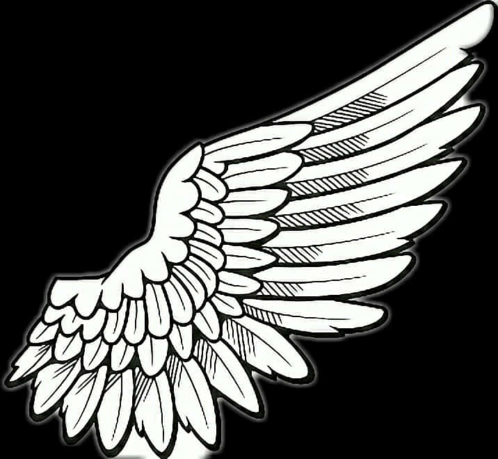 Single Angel Wing Illustration PNG Image